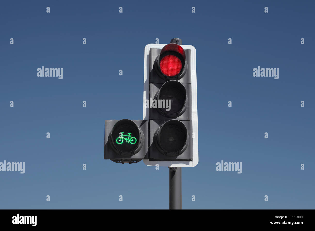 Ein Zyklus Priorität Ampel. Das grüne Licht gibt Radfahrern einen Vorsprung, so dass Sie die Kreuzung vor dem restlichen Verkehr zu überqueren. Stockfoto