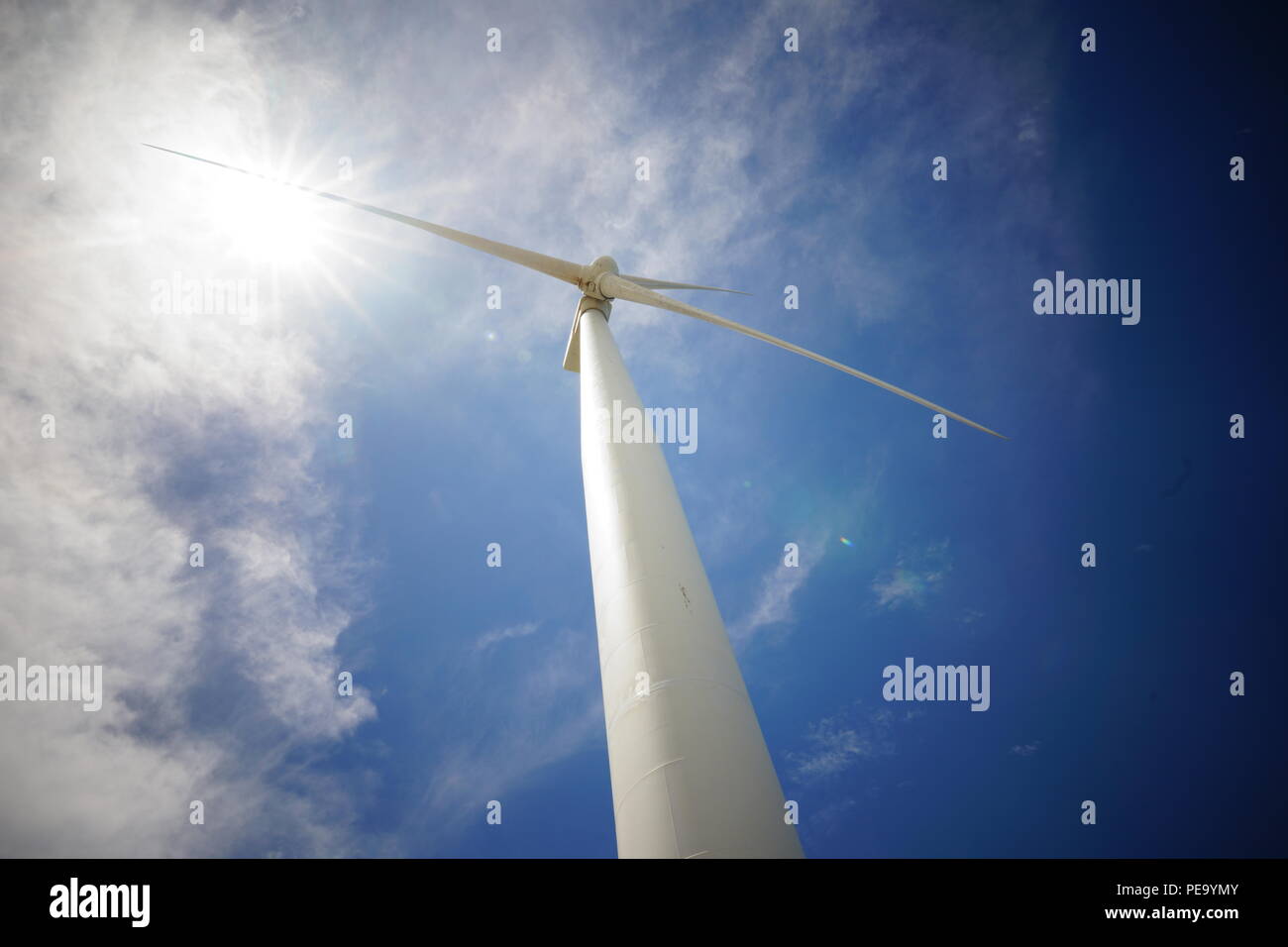 Windmühle Stockfoto