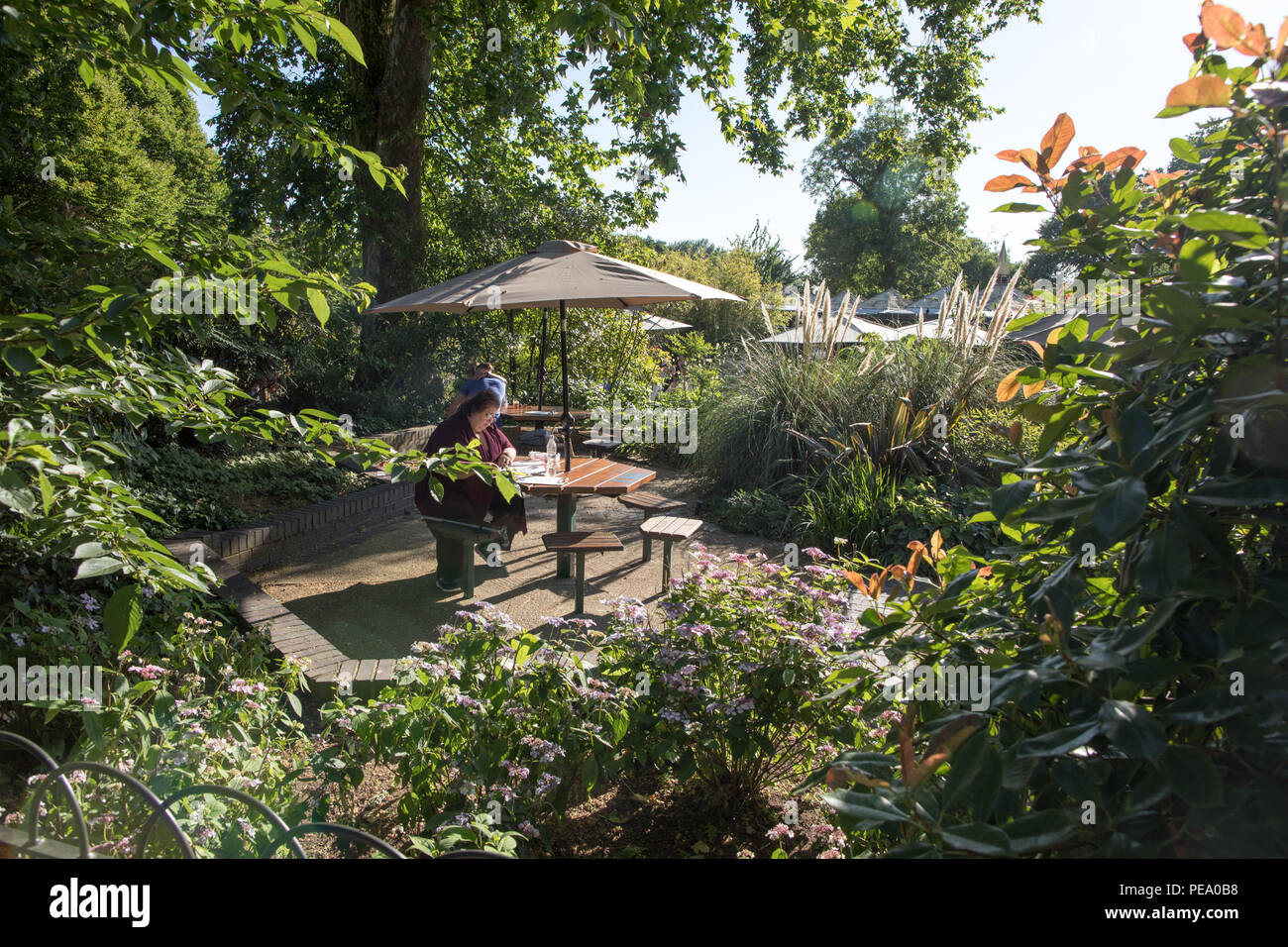 Touristen in einem Cafe Regents Park London UK Sitzen Stockfoto