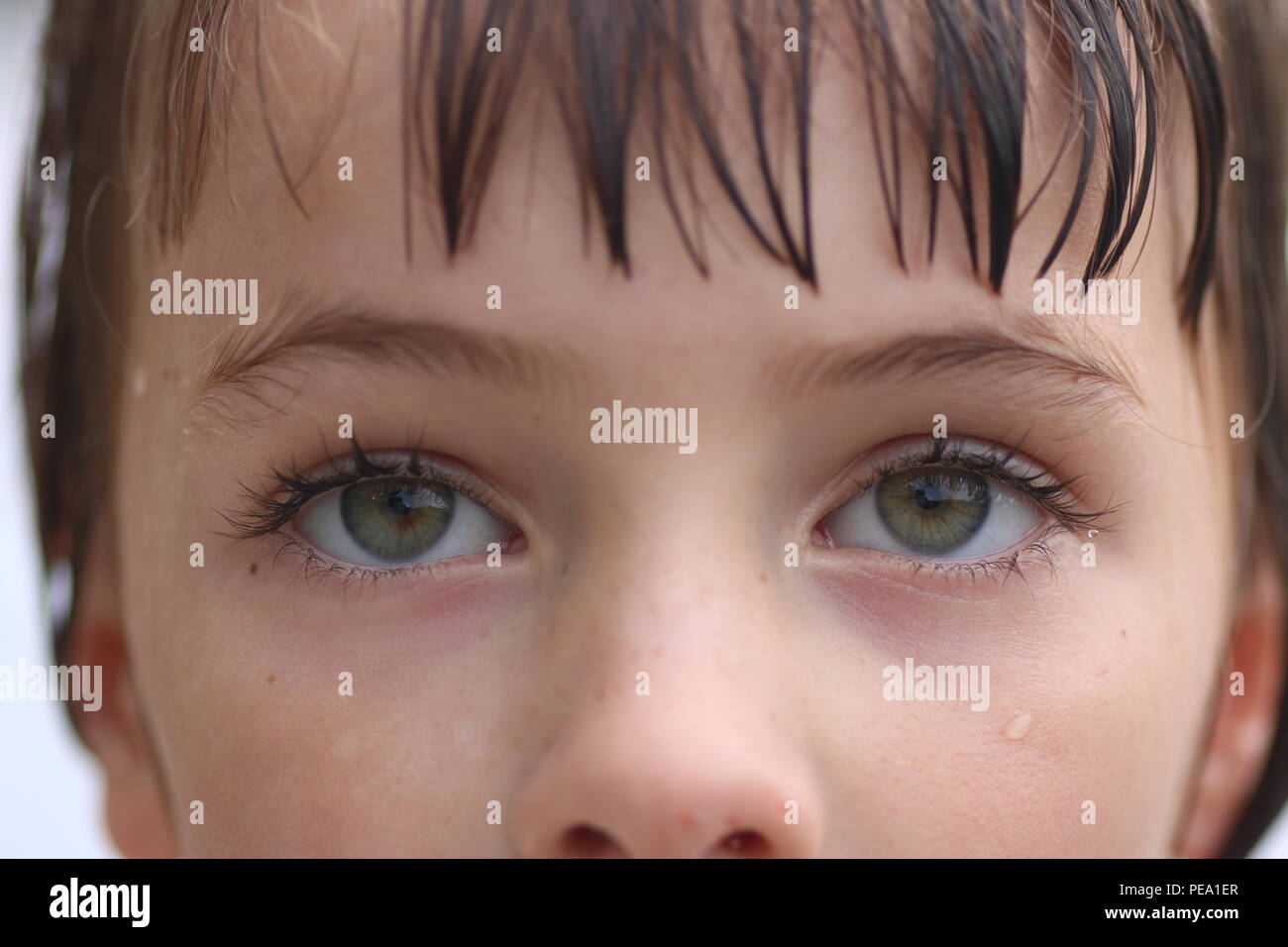 In der Nähe besteht aus einem Satz von jungen grünen Augen suchen, um sich in Gedanken Stockfoto