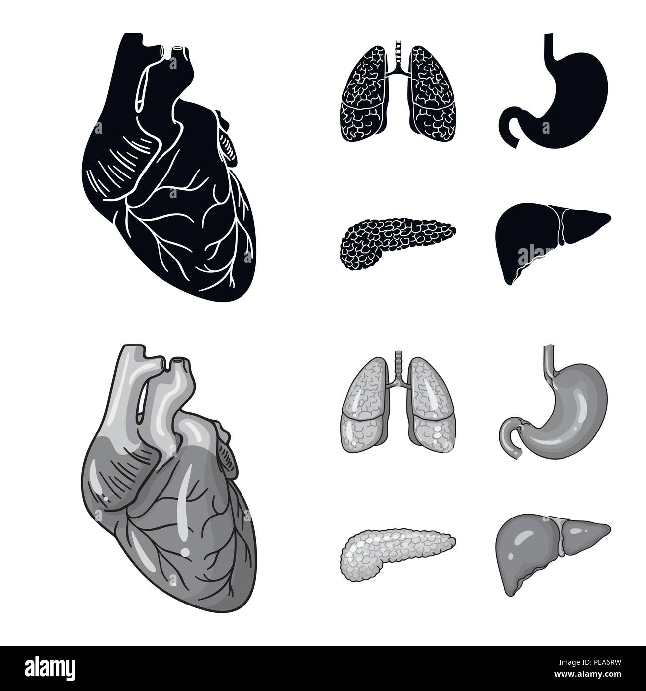 Herz, Lunge, Magen, Bauchspeicheldrüse. Menschliche Organe set Sammlung Icons in Schwarz, monochrom Stil vektor Symbol lieferbar Abbildung. Stock Vektor