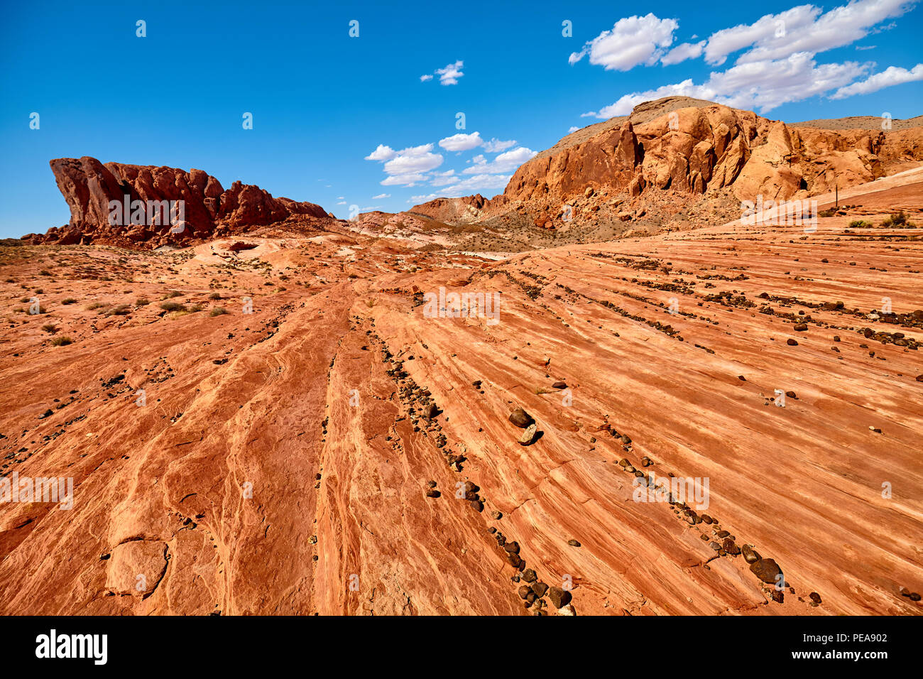 Schöne Felsformationen im Valley of Fire State Park, Nevada, USA. Stockfoto