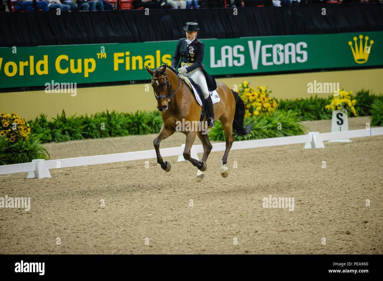 Rolex Weltcup Finale, Thomas und Mack Center, Las Vegas, Nevada, USA, April 2009. Dressur Kür, Isabell Werth (GER) Reiten Satchmo 78 Stockfoto