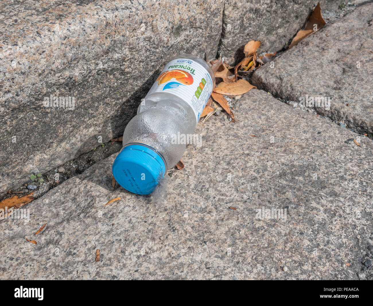Verworfen leere Plastikflasche in der Gosse liegen. Kunststoffabfälle/Krieg auf Kunststoff Metaphern und plastik Müll, Müll auf der Straße. Stockfoto