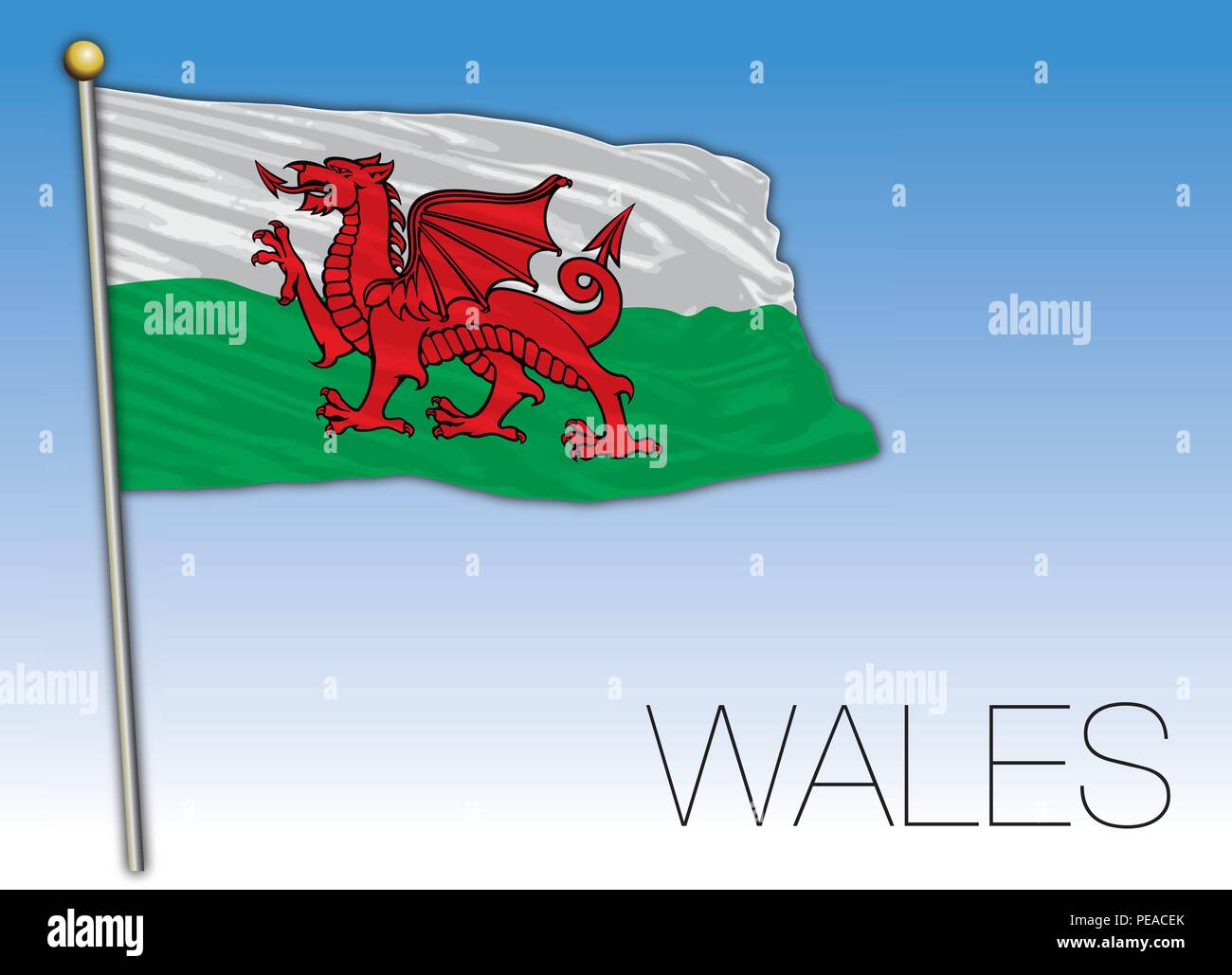 Wales Flagge, Vereinigtes Königreich, Vektor, Abbildung Stock Vektor