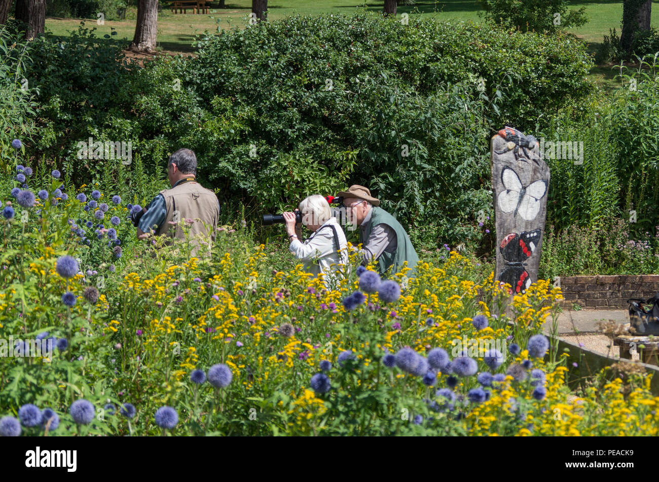 Fotografen, Mitglieder einer lokalen U3A Fotografie Gruppe, das Aufnehmen von Fotos bei Sywell Country Park, Northamptonshire, Großbritannien Stockfoto