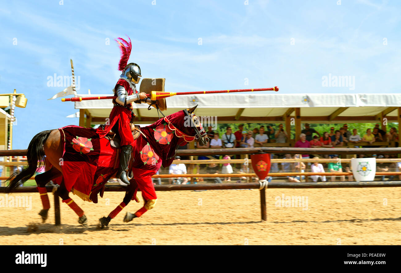 Krieg der Rosen reenactment an der Warwick Castle Stockfoto