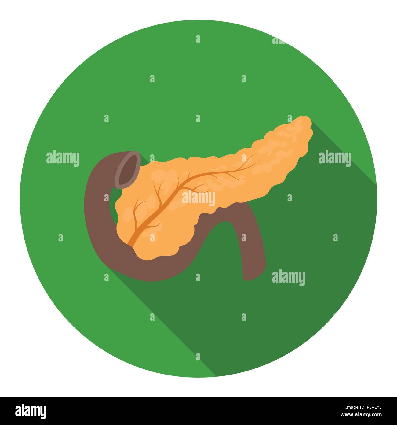 Pankreas Symbol im flachen Stil auf weißem Hintergrund. Organe symbol Vektor Illustration. Stock Vektor
