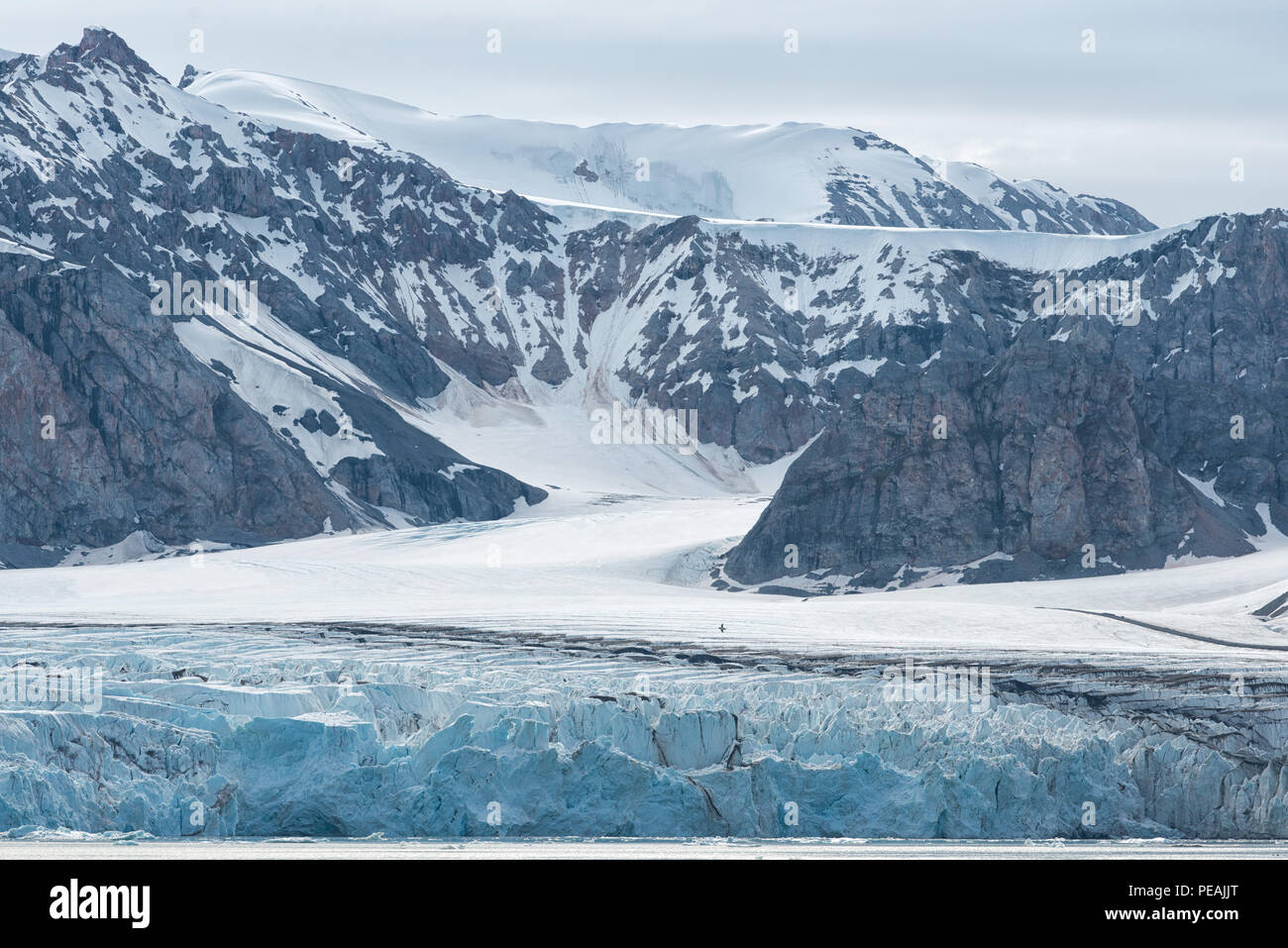 Fjortende Julibreen und Krossfjorden, Gletscher, der ins Meer kalbt, Spitzbergen, Spitzbergen, Norwegen Stockfoto