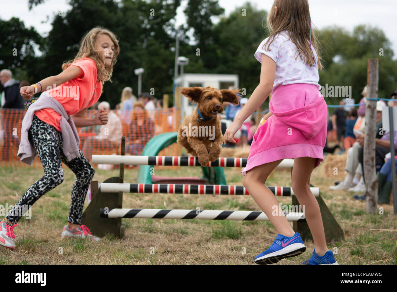 Zwei Mädchen und ein Hund in einem Hund agility Klasse Wettbewerb im Ellingham und Ringwood Landwirtschaftliche Gesellschaft zeigen. Hund Sprung über einen Zaun. Stockfoto