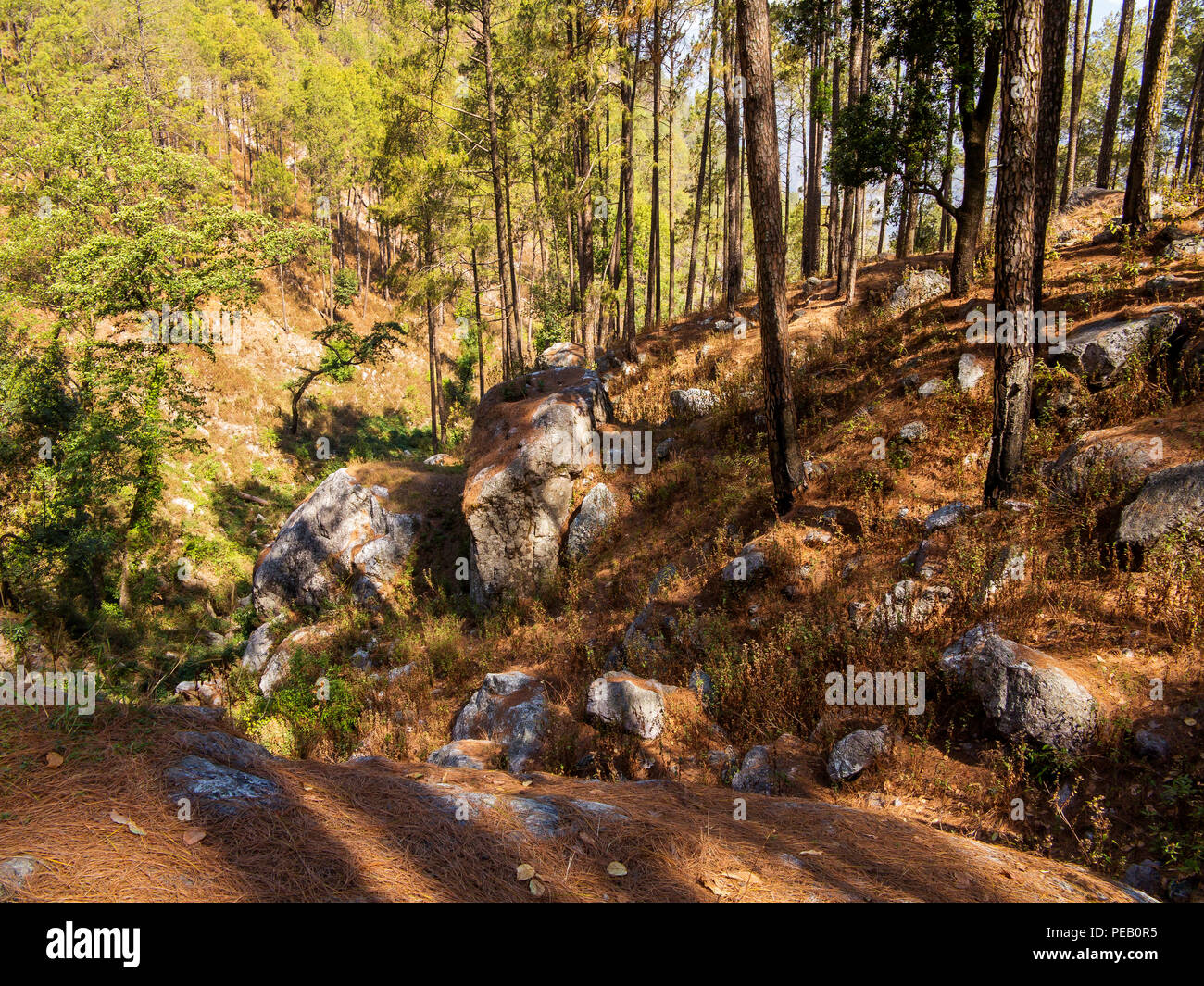 Eine der möglichen Schluchten drei Kilometer von Kala-Agar, wo Jim Corbett schoß die Chowgarh maneater 1930, Uttarakhand, Indien Stockfoto