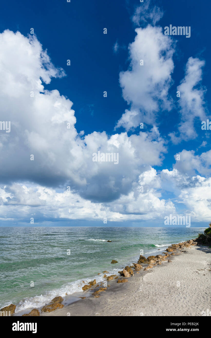 Große, weiße Wolken über dem Golf von Mexiko in Caspersen Beach in Vencie Florida Stockfoto