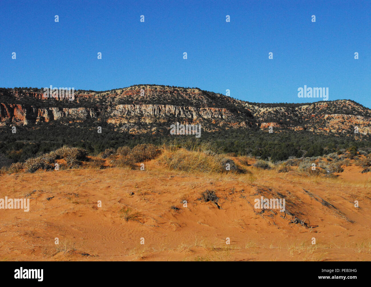 Ein wunderschönes Panorama auf die bunten Berge, Felsen, Schluchten und Berge in Arizona mit viel Platz für Ihren Text in den tiefblauen Himmel. Stockfoto