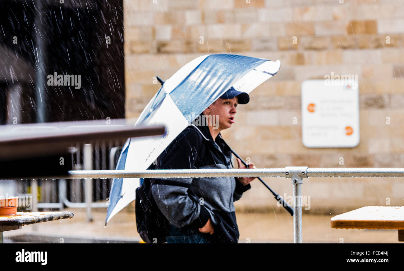 Mann zu Fuß durch Regensturm, schützende unter großer Regenschirm, Harrogate, North Yorkshire, Großbritannien Stockfoto