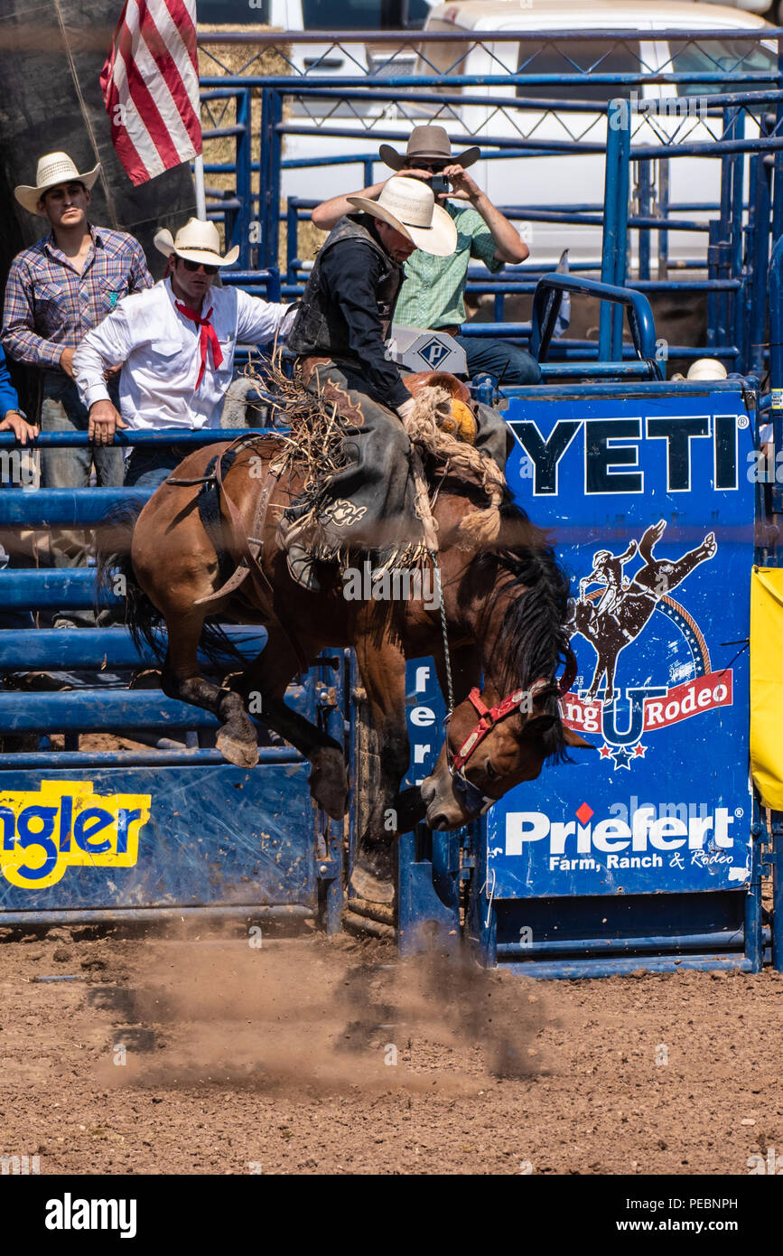 Cowboy hängt an als Pferd springt mit allen vier Füßen in der Luft beim Reiten das Ruckeln bronco im Ventura County Fair am 12. August 2018 in Kalifornien. Stockfoto