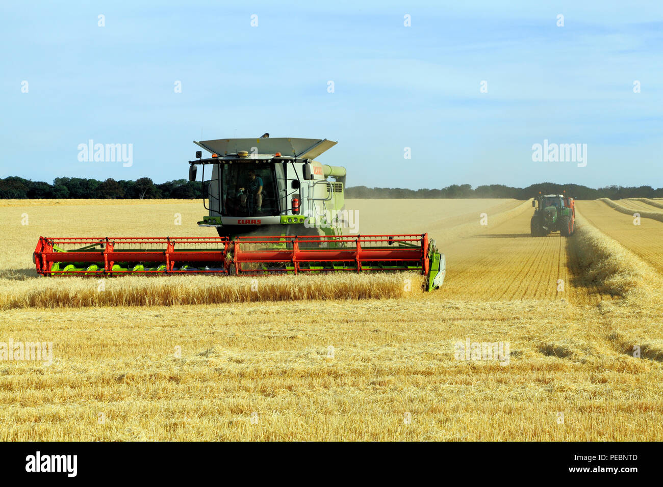 Gerste, Feld, Ernte, Harvester, Maschine, Mähdrescher, Claas Lexion 760, Landwirtschaft, Ernte, Ernte, Mais Stockfoto