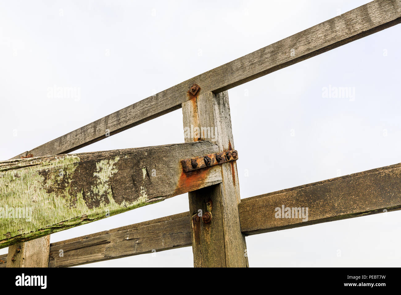 Deatrail eines hölzernen groyne am West Strand neben dem Fluss Arun, Littlehampton, einem kleinen Ferienort an der Südküste in West Sussex, UK Stockfoto