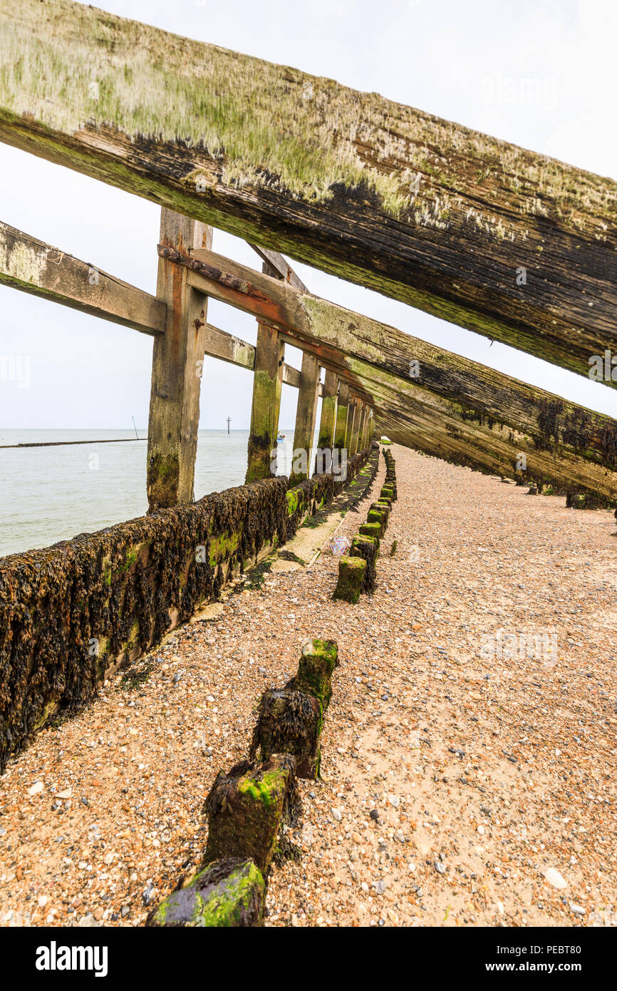 Umfangreiche Holz- groyne am West Strand neben dem Fluss Arun, Littlehampton, einem kleinen Ferienort an der Südküste in West Sussex, UK im Sommer Stockfoto