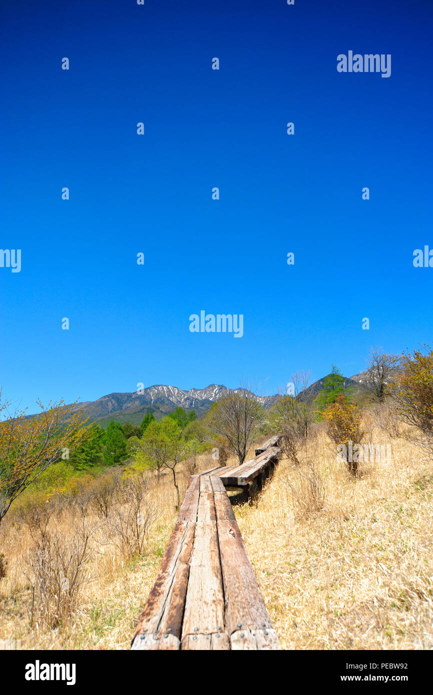 Holz-, Wandern Straße auf der KIyosato Highland Stockfoto