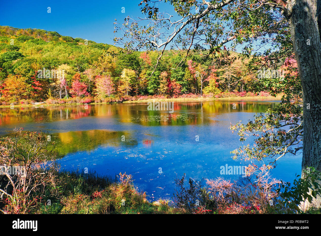 Helle Herbst Tag in Harriman State Park, New York State, USA Stockfoto