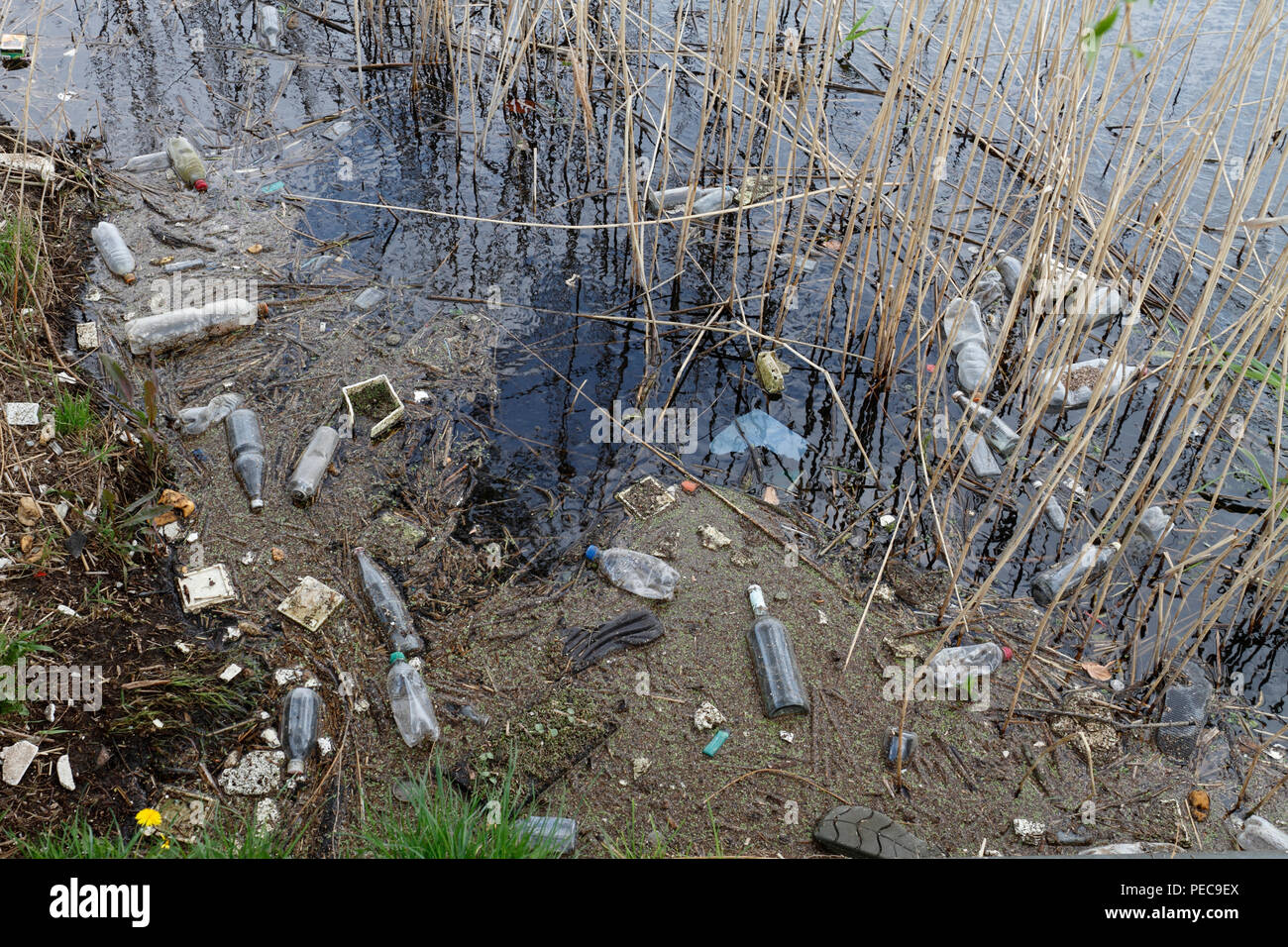 Übrig gebliebenem Müll- und Glasflaschen am Ufer der Peene, Müll in der Natur, Naturpark Peental Stockfoto