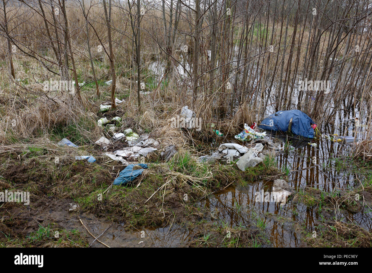 Übrig gebliebene plastik Müll am Ufer der Peene, Müll in der Natur, Naturpark Peental, Mecklenburg-Vorpommern Stockfoto