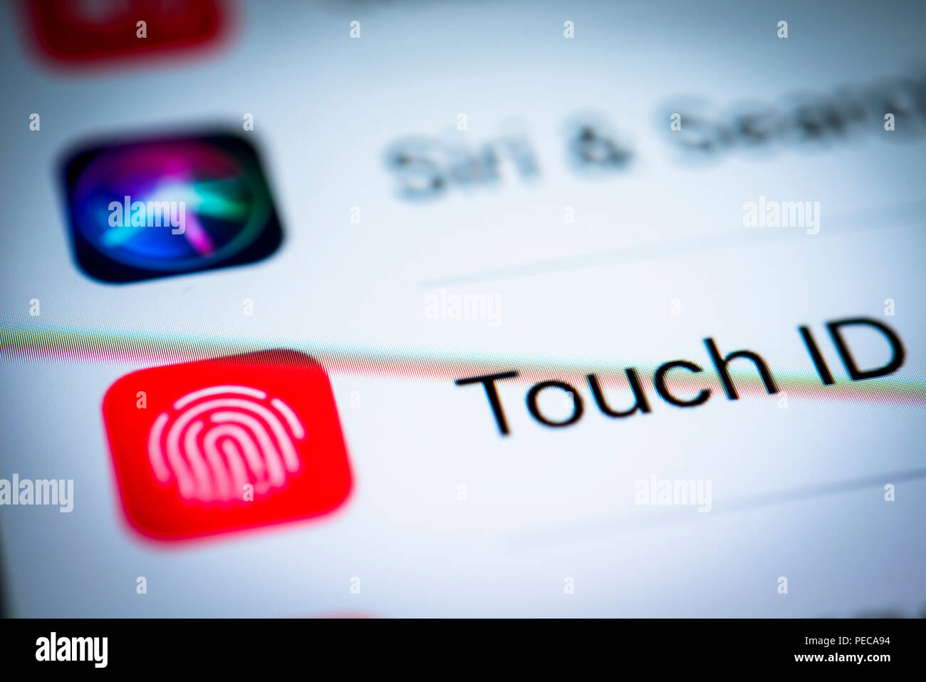 Touch ID angezeigten Einstellungen auf einem iPhone, iOS, Smartphone, Display, - Nahaufnahme, Detail, Deutschland Stockfoto