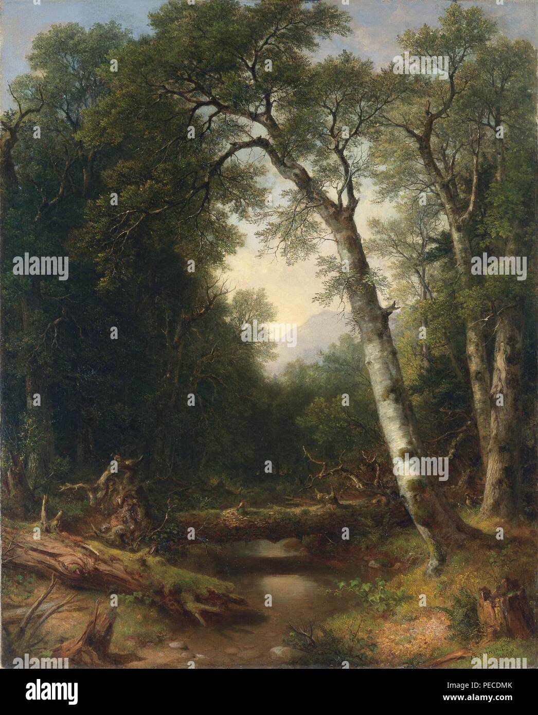 Asher Brown Durand - einen Bach im Wald (1865). Stockfoto