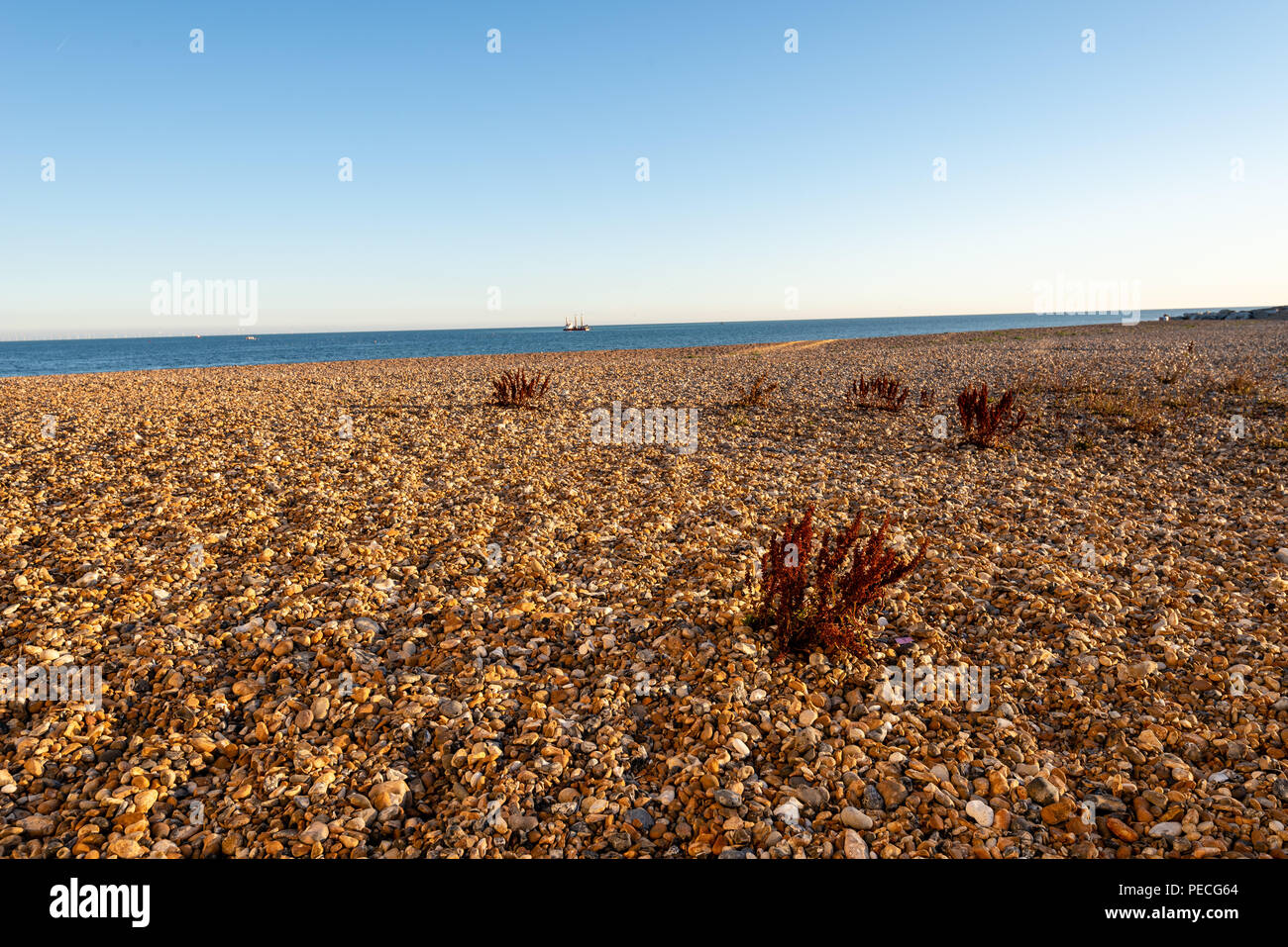 South Lancing ist ein Kiesstrand zwischen Shoreham-by-Sea und Worthing Stockfoto