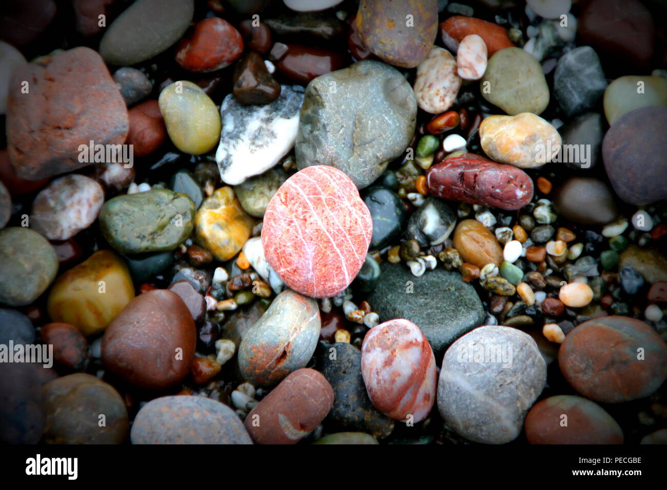 Neues Jahr Wanderung auf Jan. 2, 2016. Lage Ziege Rock, CA entlang der Sonoma Grafschaft Küste. Friedliche Foto erfasst diese schöne bunte Kieselsteine Stockfoto