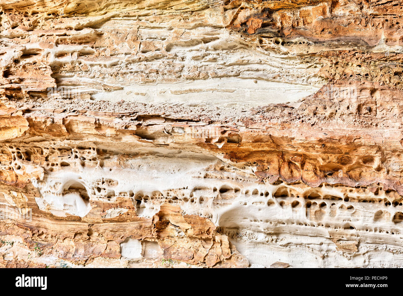 Erodiert Sandsteinmauer in Cathedral Gorge, Bungle Bungles Nationalpark, Northern Territories, Australien Stockfoto