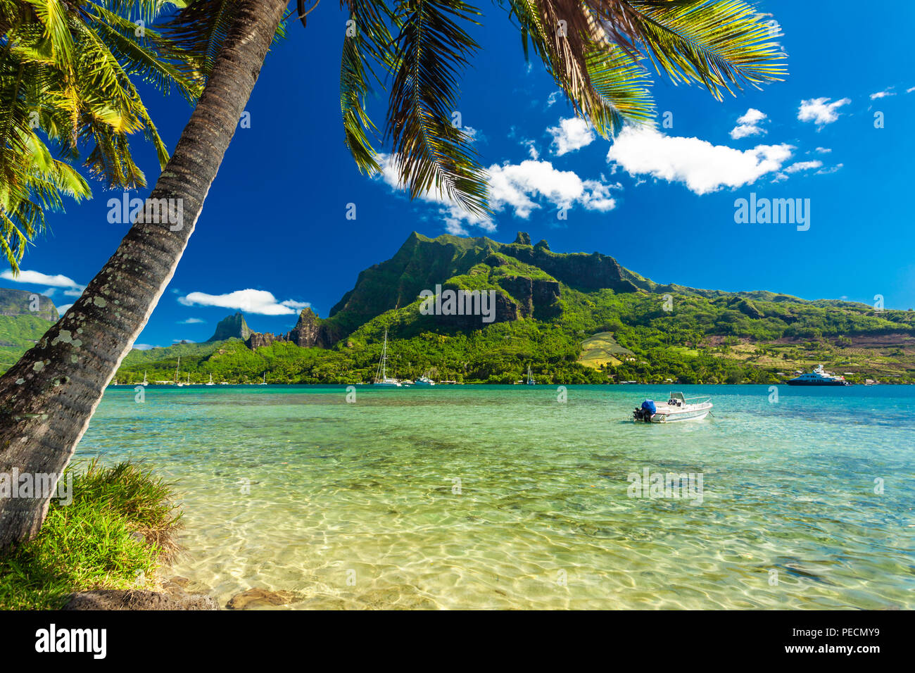 Palmen am Ufer des Ozeans im Moorea in Tahiti mit Bergblick Stockfoto