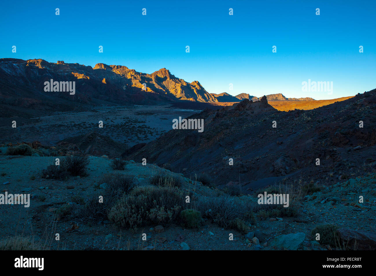 Teide National Park, Parque Nacional del Teide. Der vulkanische Berg Teide, oder Pico del Teide, Teneriffa, Kanarische Inseln - mit 3.718 hoch, es ist der Dritte Stockfoto