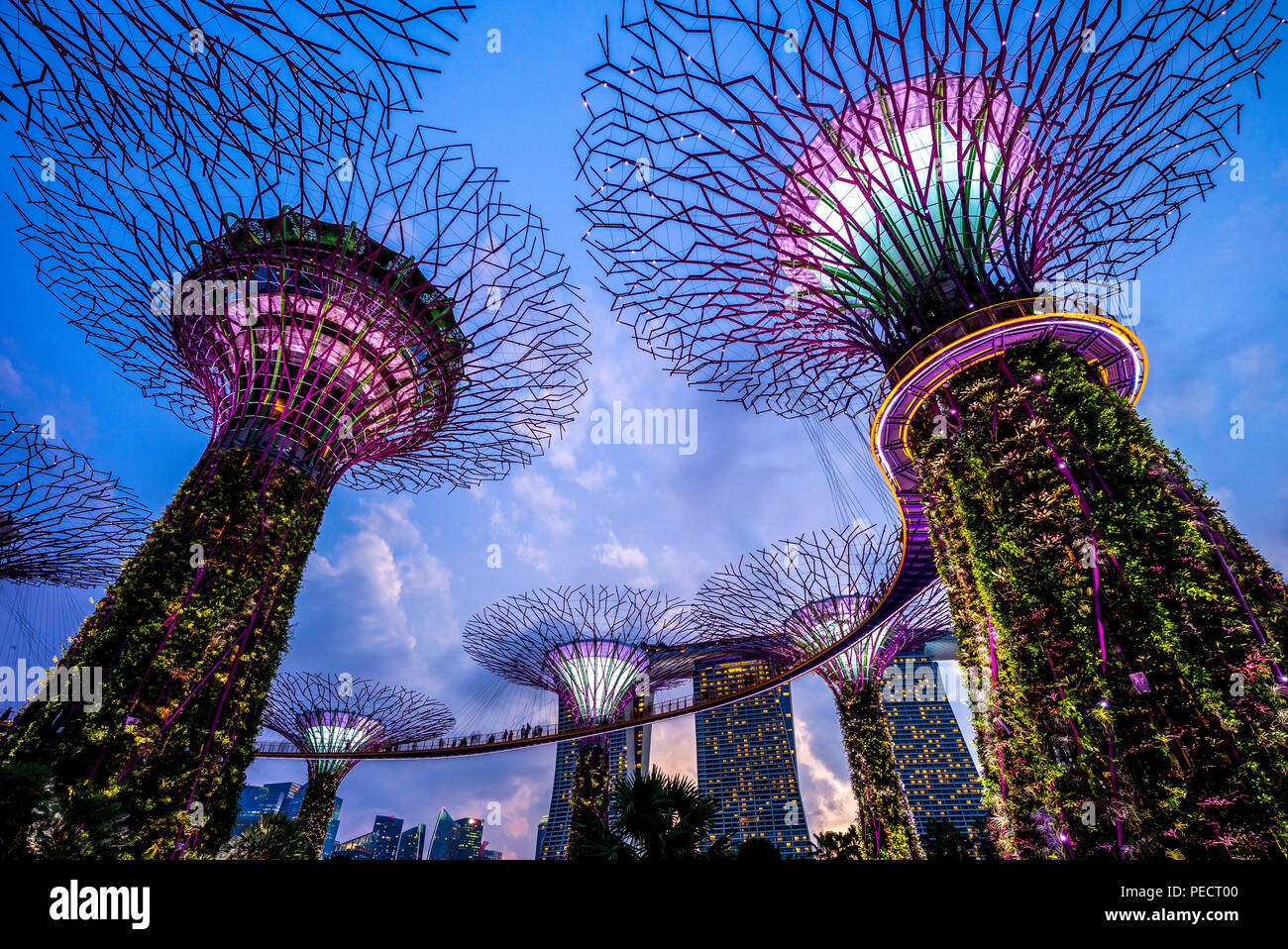 Landschaft von Gärten durch die Bucht in Singapur Stockfoto