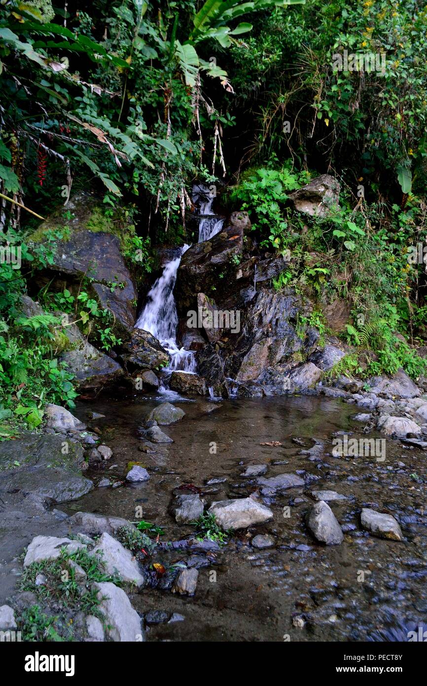 Wasserfall in LA ZUNGA - Ecuador Grenze - San Ignacio - Departement Cajamarca PERU Stockfoto