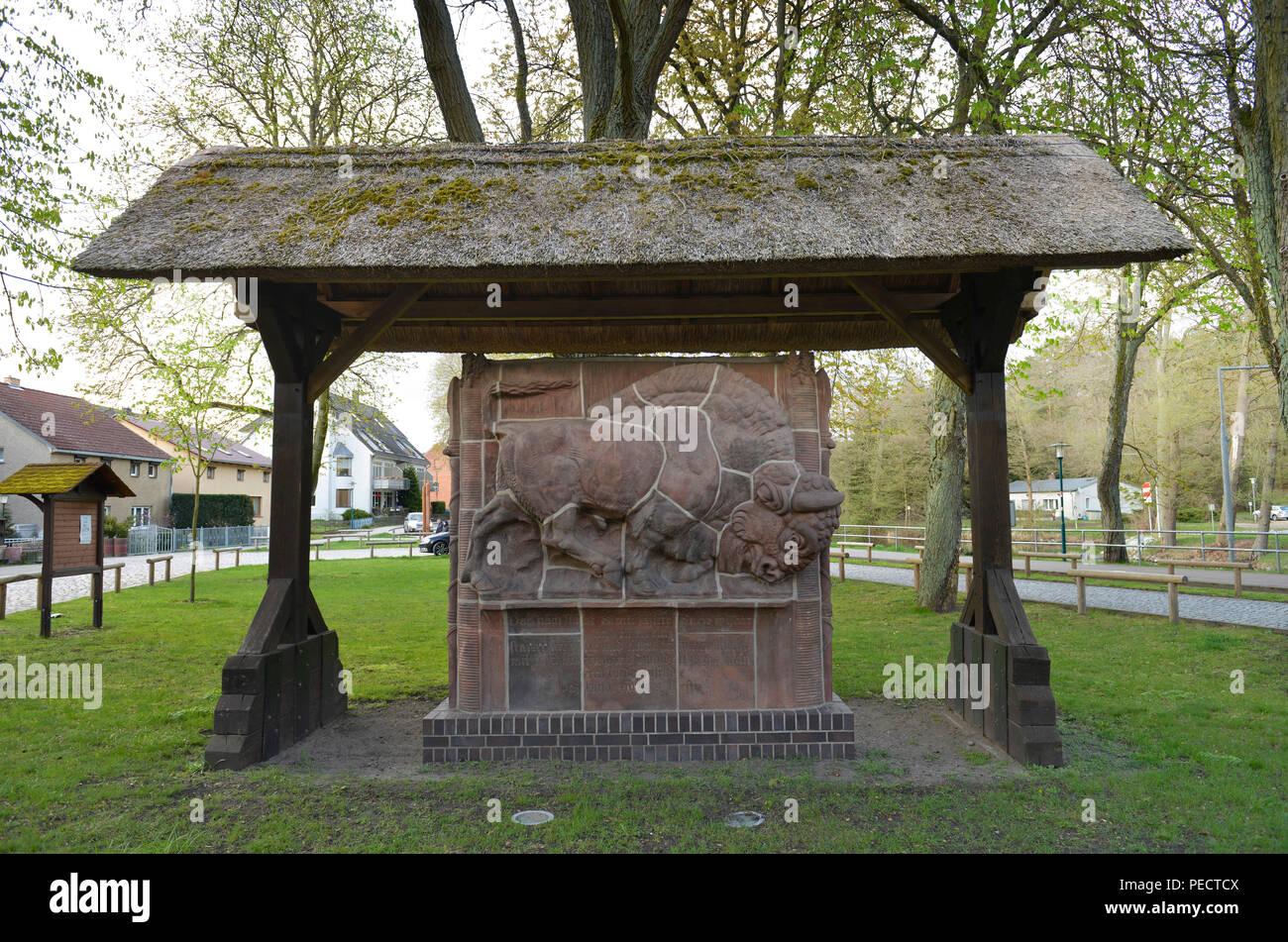 Fresko, Auerochse, Wildau, Werbellinsee, Schorfheide, Brandenburg, Deutschland Stockfoto