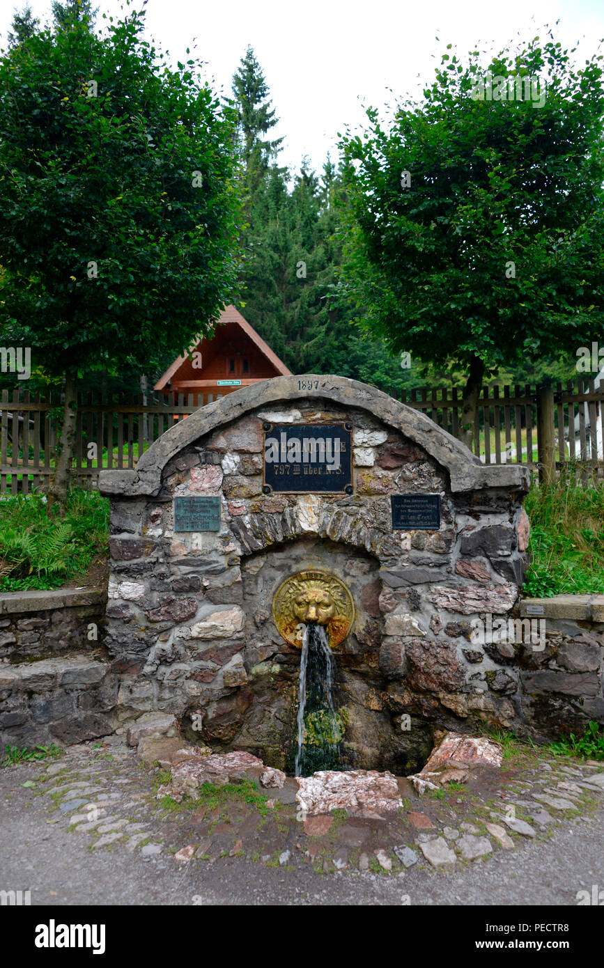 Werra Quelle, Masserberg, Thüringer Wald, Thüringen, Deutschland Stockfoto