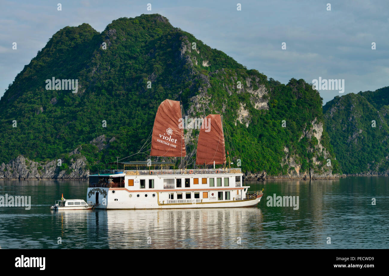Dschunke, Halong-Bucht, Vietnam Stockfoto