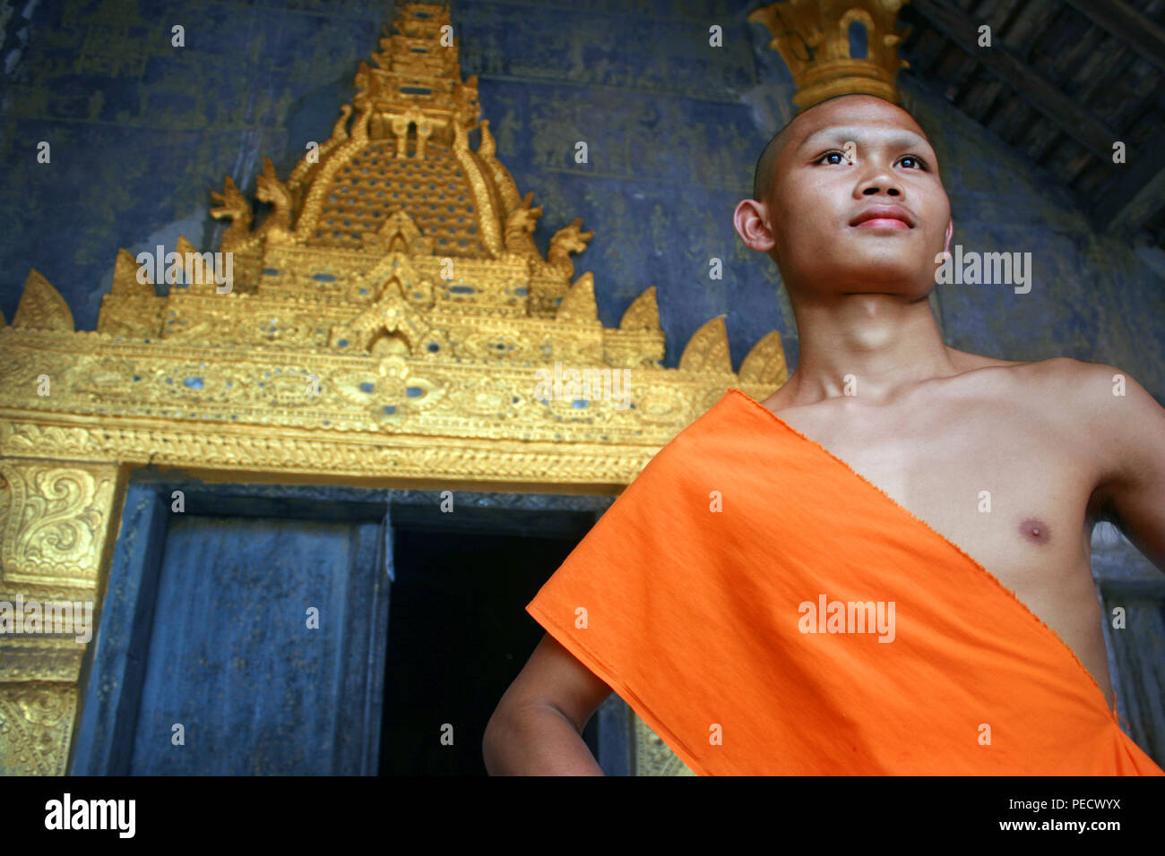 Beeindruckende Porträt buddhistischer Novize junger Mönch im Kloster Wat Xieng Thong in Luang Prabang, Laos Stockfoto