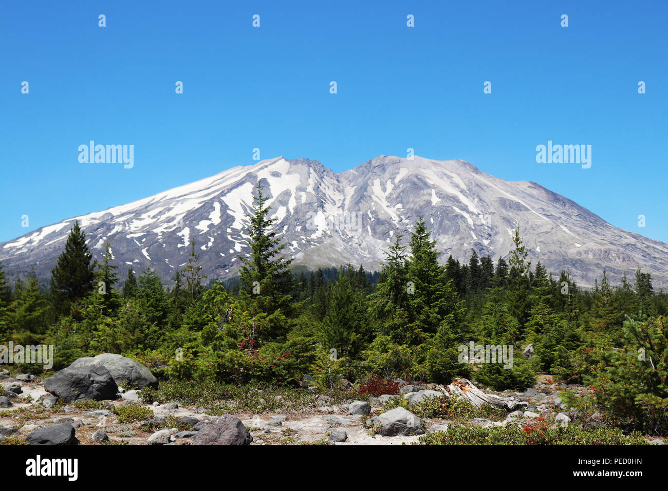 Mount Saint Helens National Volcanic Monument Stockfoto