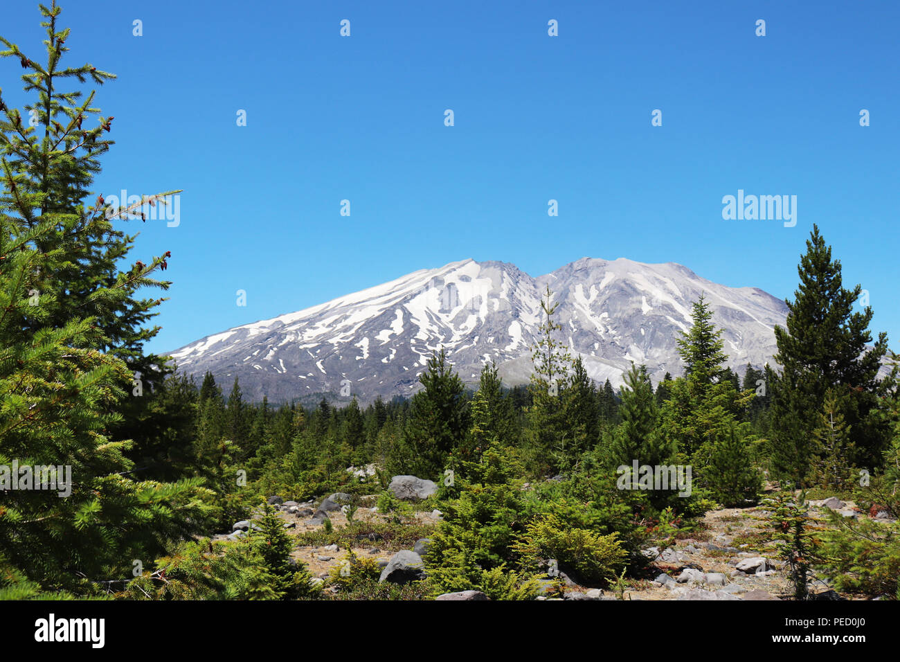 Mount Saint Helens National Volcanic Monument Stockfoto
