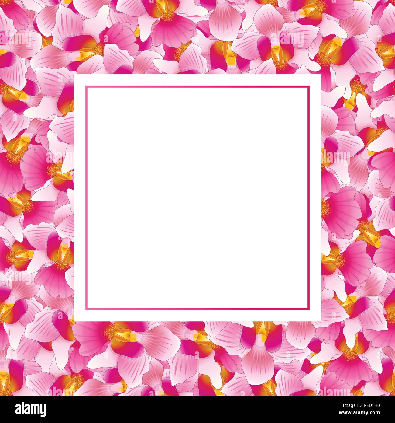 Pink Vanda Miss Joaquim Orchid Banner Karte. Singapur nationale Blume. Vector Illustration. Stock Vektor