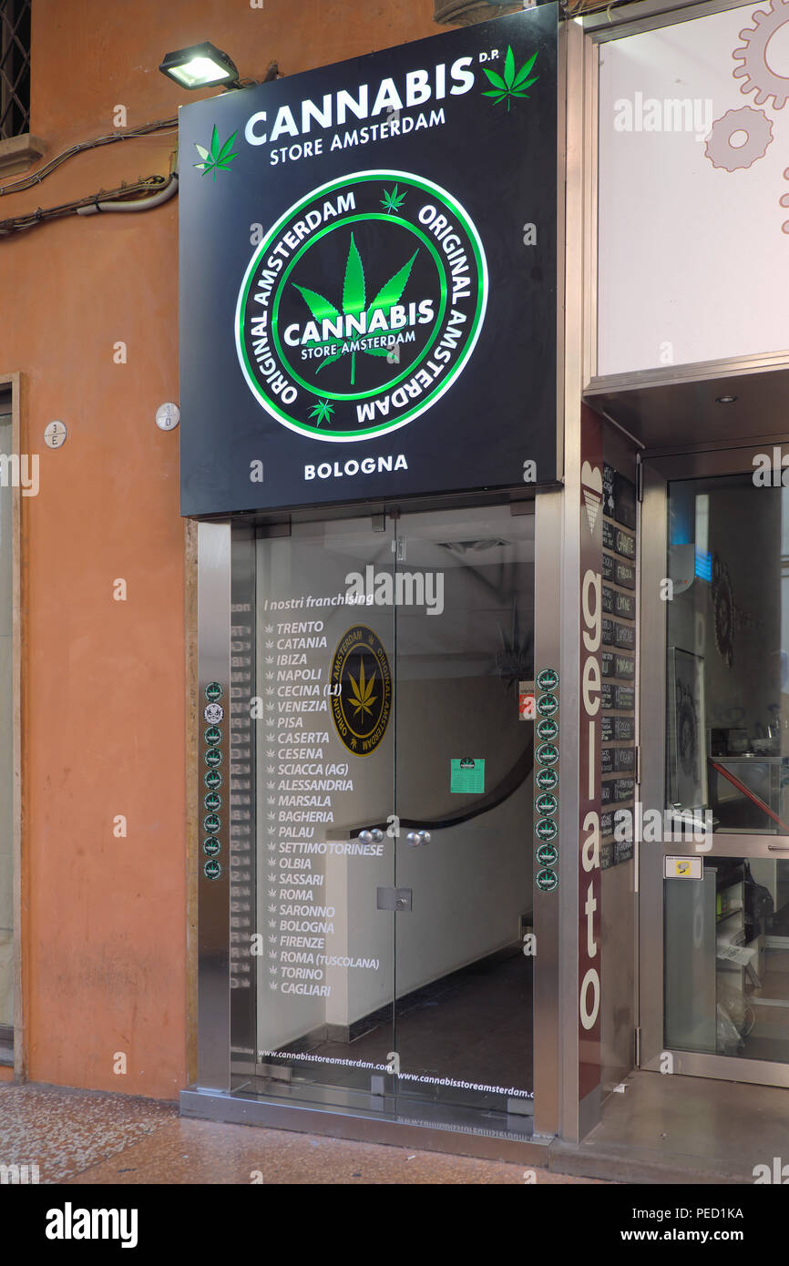 Amsterdam cannabis Shop im Zentrum von Bologna, Italien Stockfoto