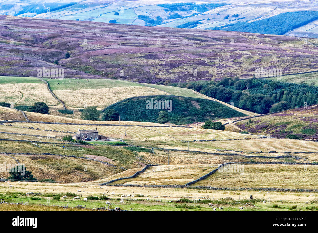 In Nidderdale von Greenhow Hill in Richtung Nidd Tal und Pateley Bridge in North Yorkshire Stockfoto