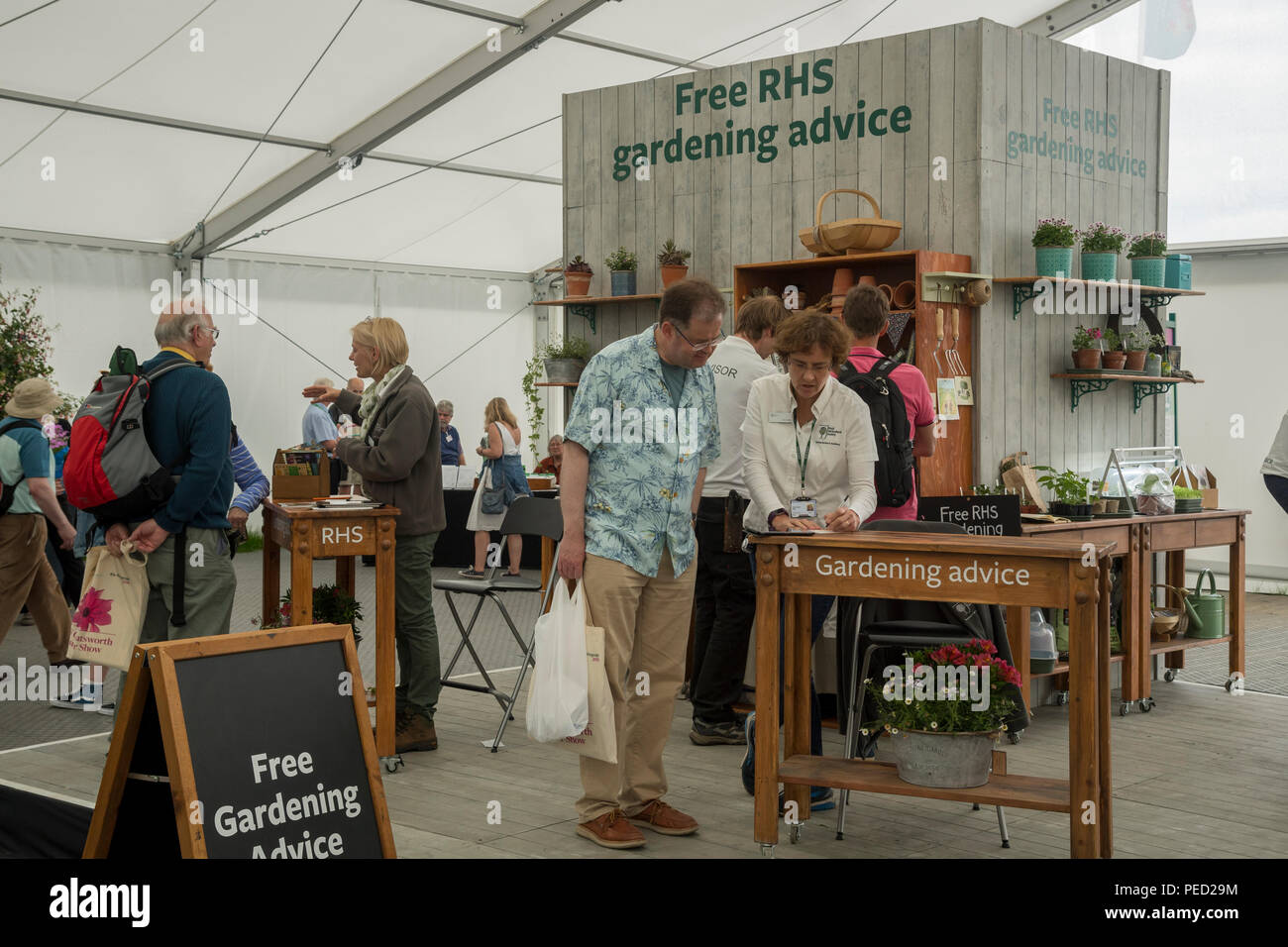 Die Menschen sprechen, Fragen, Beratung Gartenbau Experten & Empfang freier Hilfe & Beratung - RHS Chatsworth Flower Show, Derbyshire, England, UK. Stockfoto