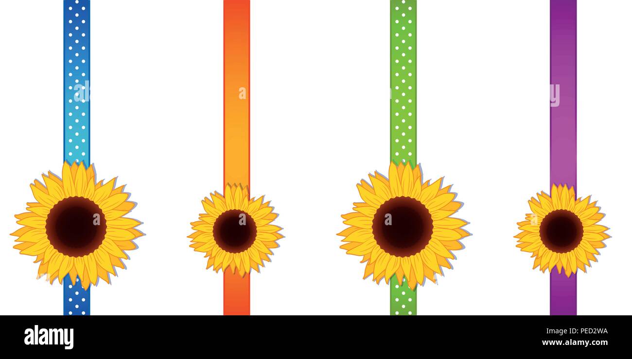 Sonnenblume ribbon Deko Set Vector EPS Abbildung 10 Stock Vektor