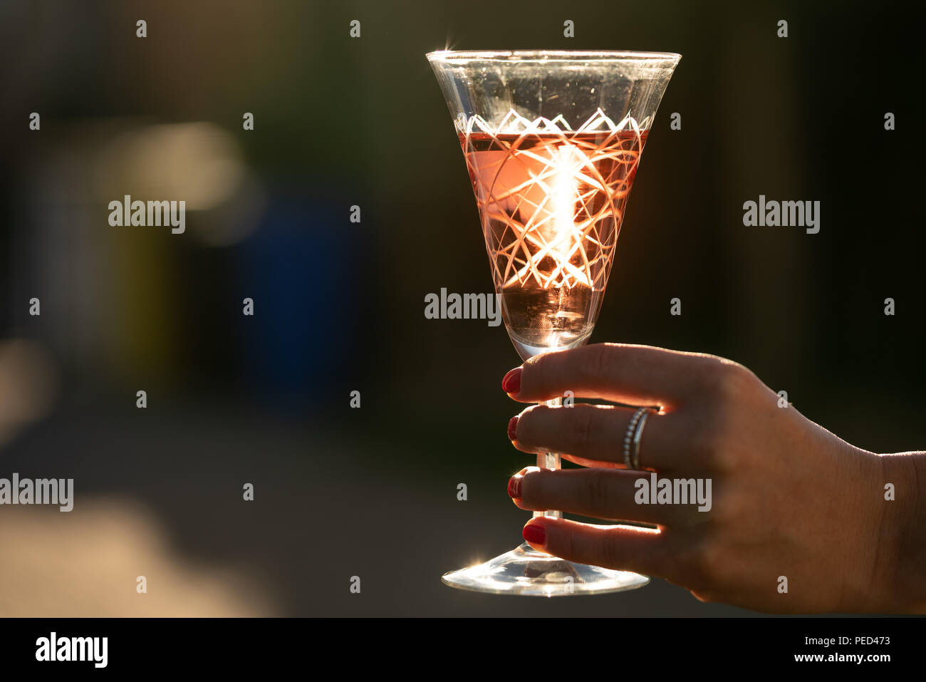 Ein Glas Wein wird von einer jungen Frau, mit der Sonne Hintergrundbeleuchtung statt. Stockfoto