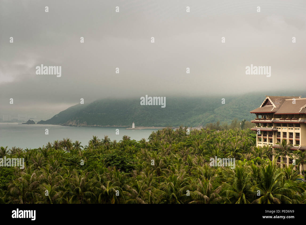 The Ritz Carlton Hotel an der Yalong Bay liegt inmitten eines Palmengartens Wald, Insel Hainan, China Stockfoto