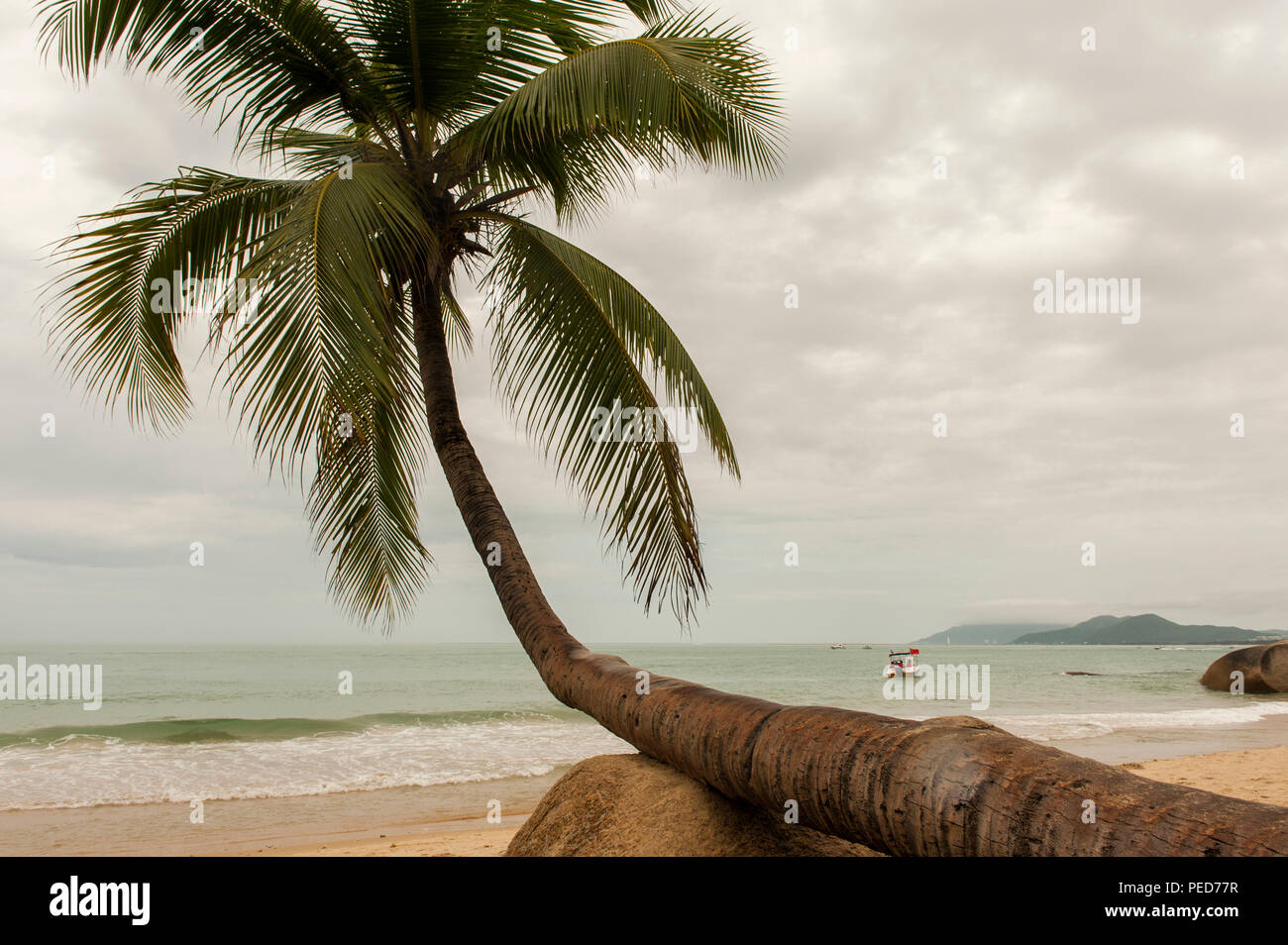 Chinas südlichste Strand bei Tianya Haijiao, Insel Hainan Stockfoto