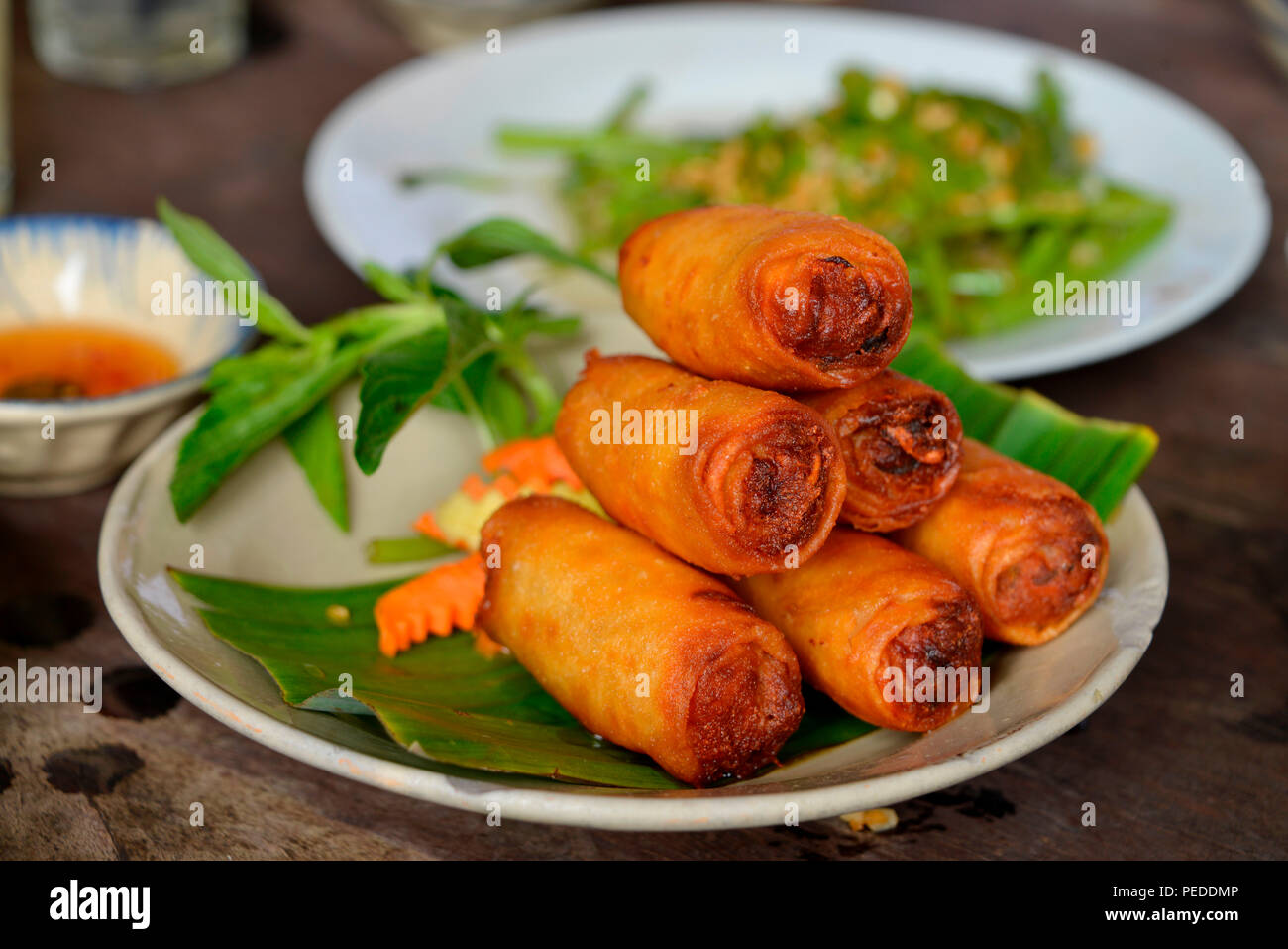 Fruehlingsrollen, Secret Garden Restaurant, Ho-Chi-Minh-Stadt, Vietnam Stockfoto
